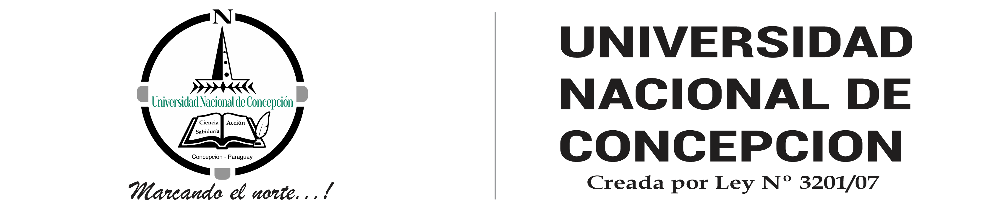Universidad Nacional de Concepción